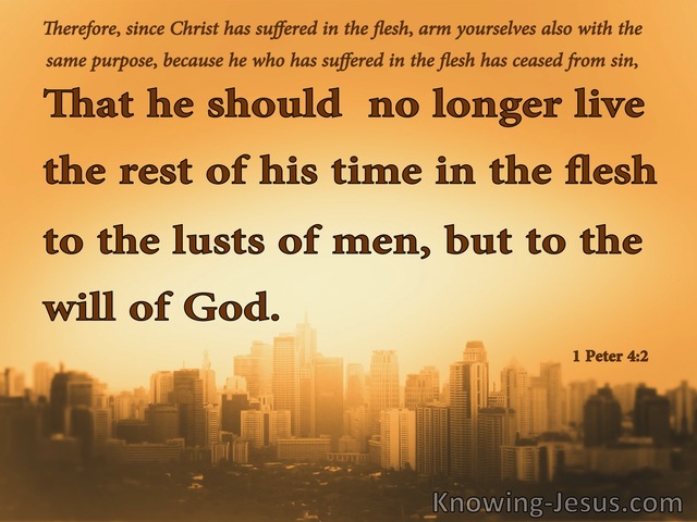 1 Peter 4:2 Live By The Will Of God (orange)
